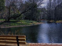 -上海共青森林公园