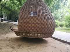 -东湖落雁景区
