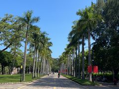 -厦门大学(思明校区)