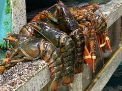 -江杨农产品批发市场