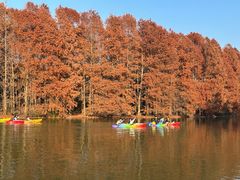 -上海海湾国家森林公园