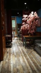 -星豆豆儿童摄影(南郊太白南路店)