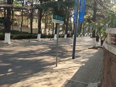 -八大关景区