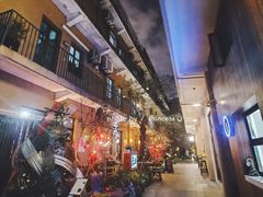 -嘉善老市
