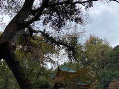 -岳麓山风景名胜区