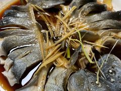 -煲来饱去冷水鱼