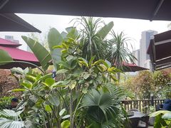 -状元人家·公园别墅衡东土菜(溪悦荟店)