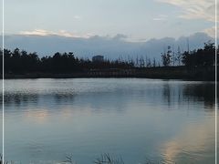 -春花秋色城市公园