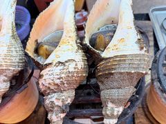 -吴记富苑(朝阳店)