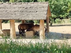 -杭州野生动物世界