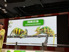 -上海大自然野生昆虫馆(东方明珠·爬宠昆虫探索中心)