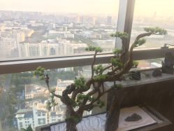 -松和日式美容整骨