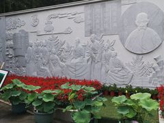 -陈家山荷花公园