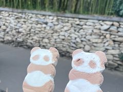 -成都大熊猫繁育研究基地