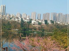 -重庆彩云湖湿地公园