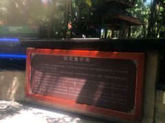 -碧水湾温泉