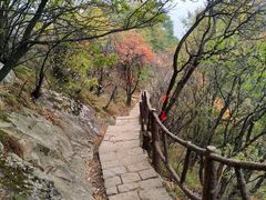 -秦岭终南山世界地质公园翠华山景区