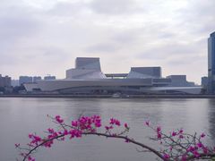 -白天鹅宾馆·流浮阁咖啡厅