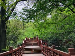 -紫金山山顶公园