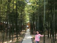 -龙寺生态园