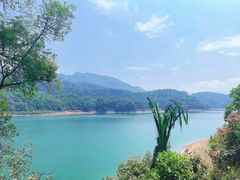 -孔雀湖生态旅游区