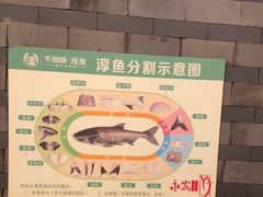 -永安水煮活鱼·仪征土菜院子