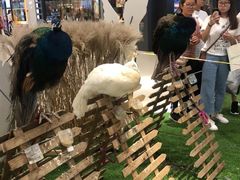 -万达广场(盐城盐都店)