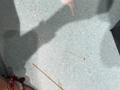 -申普宠物医院·心脏介入·心血管微创(总院)