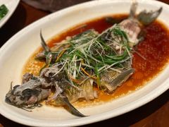 清蒸雅江鱼-林芝工布庄园希尔顿酒店-猎味中餐厅