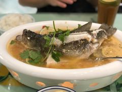 -米泰芒·东南亚料理(体育西店)