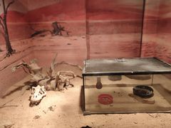 -多彩贵州城极地海洋世界