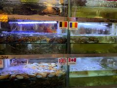 -桥东喜碧海鲜街(水东街店)