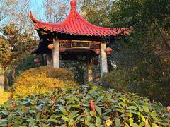 -南京市江宁方山