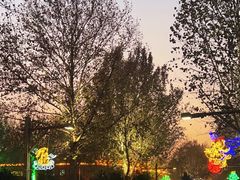 -南宫五洲植物乐园