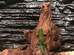-昆明大悦城未来动物城(螺蛳湾中心店)