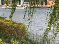 -大兴滨河森林公园