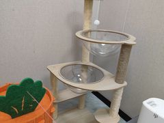 -瑞鹏宠物医院·骨科·猫科·内科(第一中心)