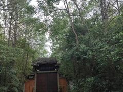 -上海海湾国家森林公园