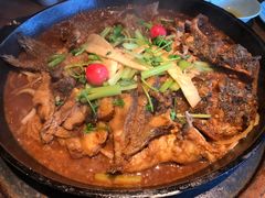 -老板恋上鱼(印象城店)