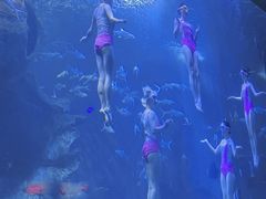 -多彩贵州城极地海洋世界