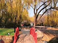 -玲珑塔公园
