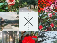 -深圳国际园林花卉博览园