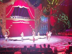 -珠海横琴长隆《卡卡虎奇遇记》