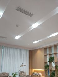 -碧莲盛·不剃发植发