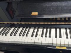 -梅纳·钢琴声乐架子鼓Mena Music(双井店)