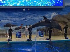 -福州罗源湾海洋世界旅游区