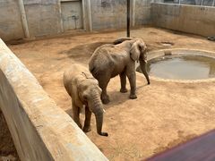 -西霞口神雕山野生动物世界