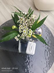 -HEYAN荷妍专业脱毛连锁机构