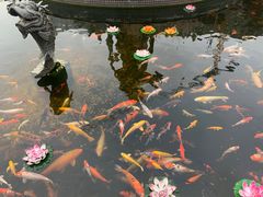 -上海东林寺(金山区)