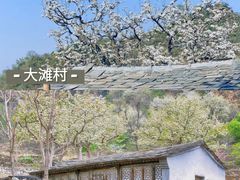 -沉浸北京·团建旅行·密室剧本杀·年会会议轰趴拓展